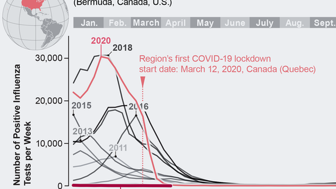 Flu Has Disappeared for More Than a Year