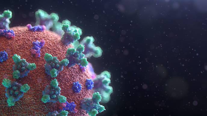 ReachMD Healthcare Image