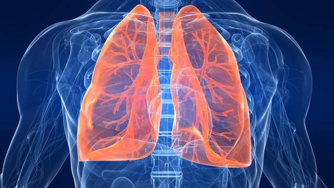 Stopping Lethal Lung Damage from the Flu with a Natural Human Protein