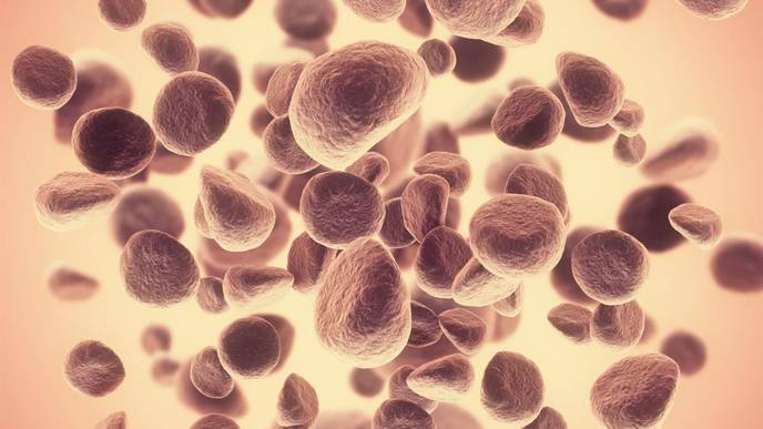 Magnetic Bandage Destroys Skin Cancer Cells with Heat