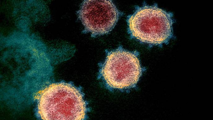 Trump Focuses Attention on Possible Coronavirus Treatments