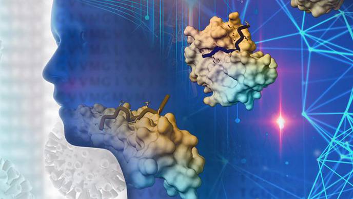 Coronavirus Deranges the Immune System in Complex & Deadly Ways