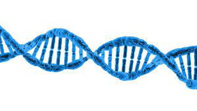 Could Tracking RNA in Body Fluids Reveal Disease?