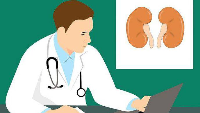 Pregnancy Increases Kidney Stone Risk, Study Finds