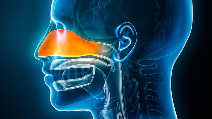 Scientists Pioneer New Method for Measuring Immune Memory and SARS-CoV ...