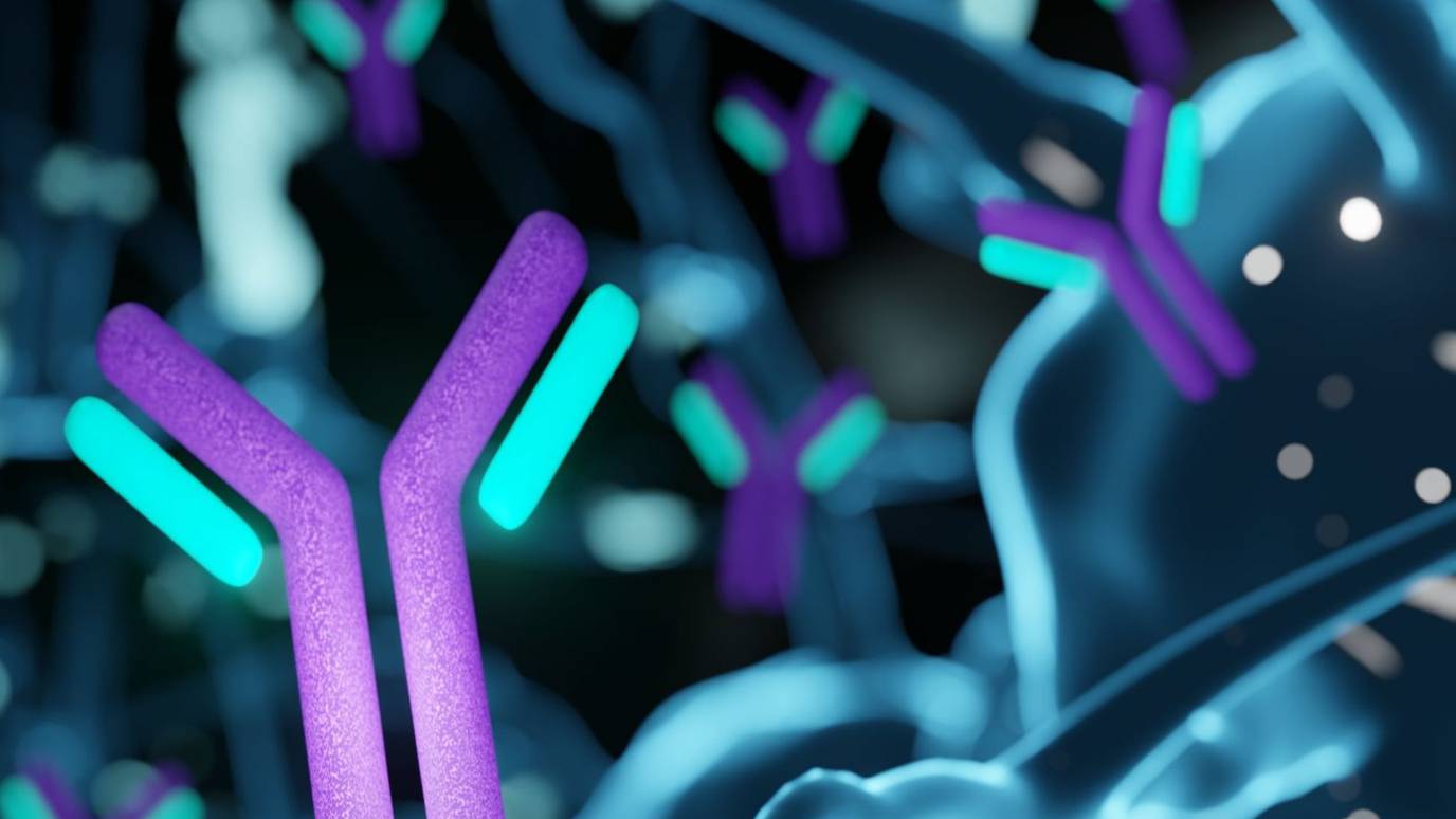 Lupus and Other Autoimmune Diseases Strike Far More Women Than Men. Now ...