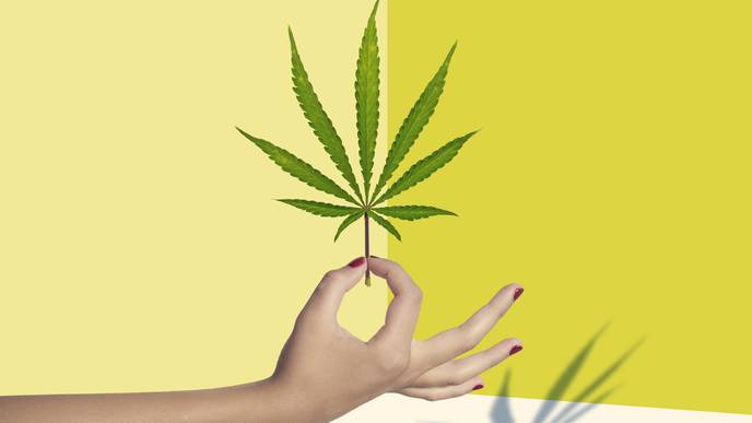 Female Eggs Exposed to THC Less Likely to Result in Viable Pregnancy