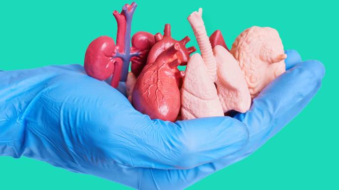 ReachMD Healthcare Image