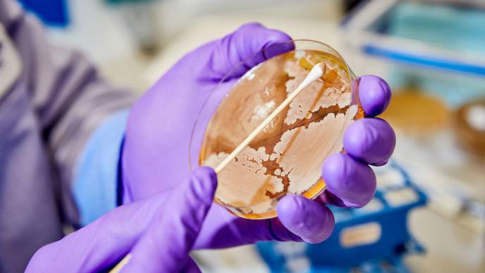 Meet the ‘Psychobiome’: The Gut Bacteria That May Alter How You Think, Feel, & Act