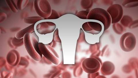 Iron Deficiency Anemia in Patients Presenting with Abnormal Uterine Bleeding: The Role of Oral Iron Supplementation