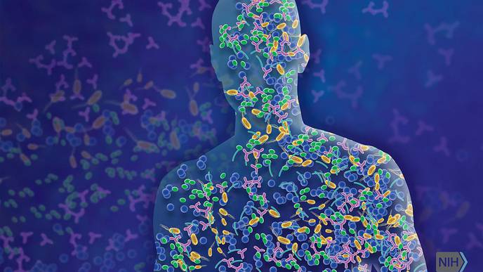 NIH Scientists Describe “Multi-Kingdom Dialogue” Between Internal, External Microbiota