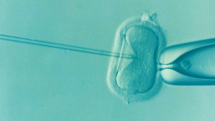 IVF Success Rates Higher at Clinics That Provide More Outcomes Data