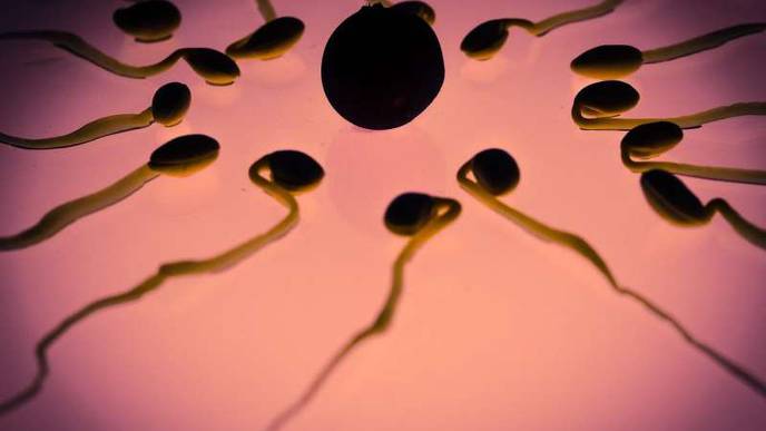 Fear & Anxiety Can Have Lasting Impact on Man's Sperm & Future Offspring