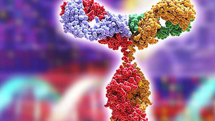 Neonatal Exposure to Antigens of Commensal Bacteria Promotes Broader Immune Repertoire