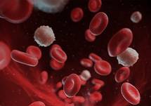 Alloimmune Neutropenia of the Fetus and Newborn