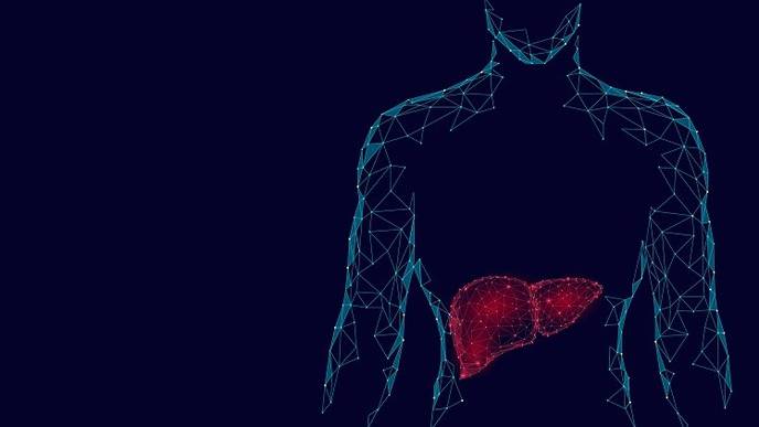 Sex Disparities Exist In Liver Transplant Allocation