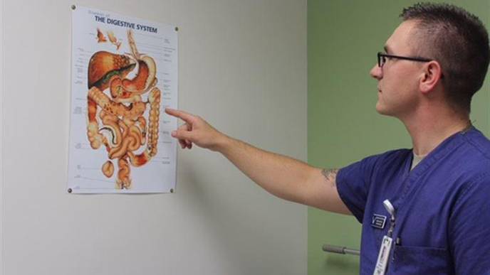 Algae Shown to Improve Gastrointestinal Health