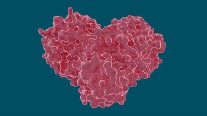 X-Ray Study Explores Potential of Hepatitis C Drugs to Treat COVID-19