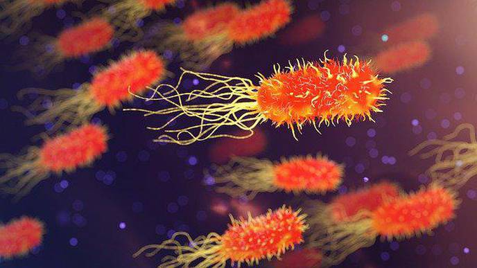 The Gut Microbiome in the Time of COVID-19: What Major Scientific Breakthroughs Have Been Made in Gut Microbiome Science in 2020?