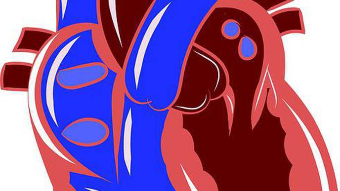 Women May Face a Greater Risk of Coronary Heart Disease from Stress