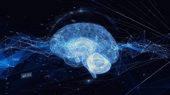 Artificial Intelligence System Developed to Help Better Select Embryos for Implantation