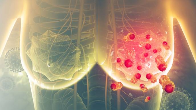 ReachMD Healthcare Image