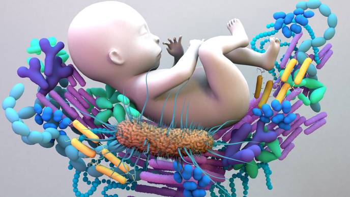 ReachMD Healthcare Image