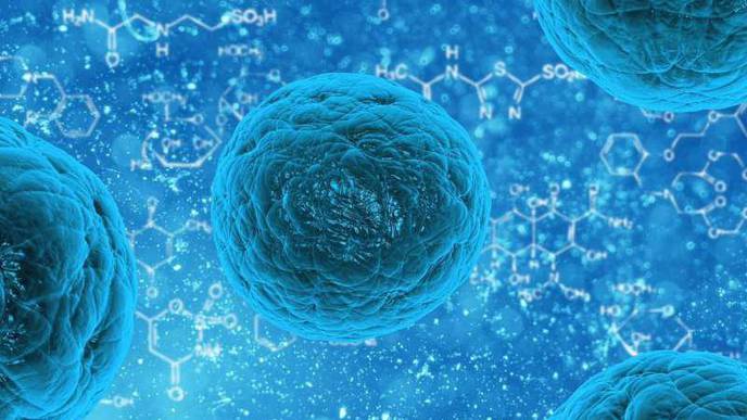 Old Human Cells Rejuvenated with Stem Cell Technology