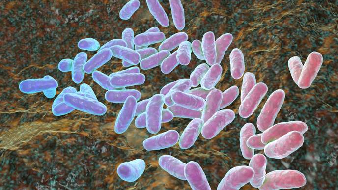 ReachMD Healthcare Image