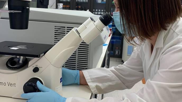 Researchers Find New Targets for Deadly Children's Brain Tumor