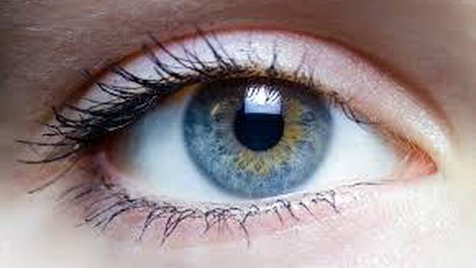 Surgery Restores Eye Muscle Function to Patients with Facial Paralysis