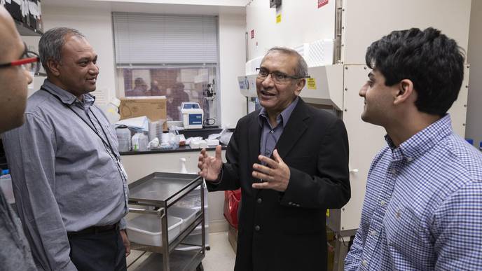 Researchers Find Way to Improve Cancer Outcomes by Examining Patients' Genes