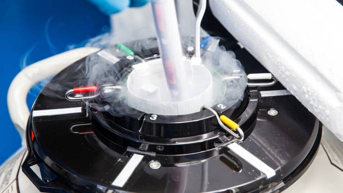 ReachMD Healthcare Image