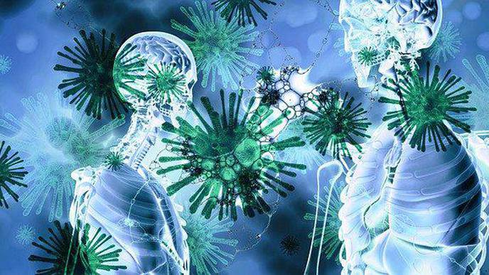 Researchers Identify 'Druggable' Signaling Pathway That Stimulates Lung Tissue Repair