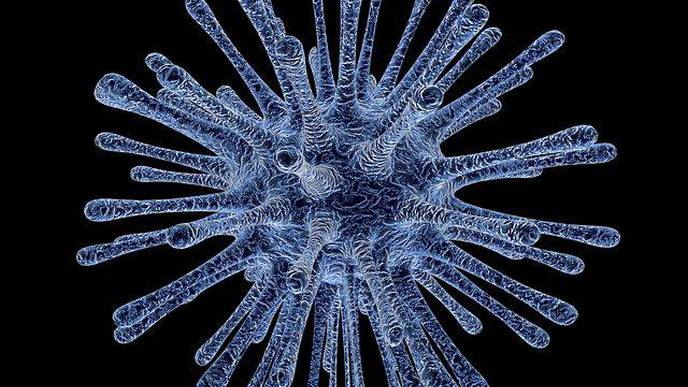 Scientists Identify Hundreds of Drug Candidates to Treat COVID-19