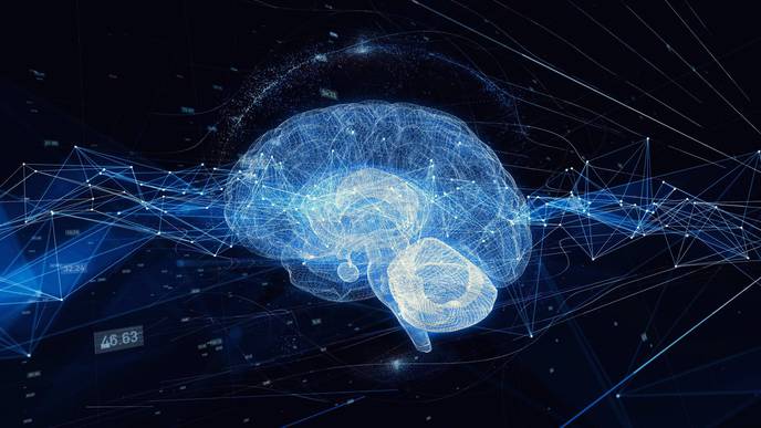 Artificial Intelligence System Developed to Help Better Select Embryos for Implantation
