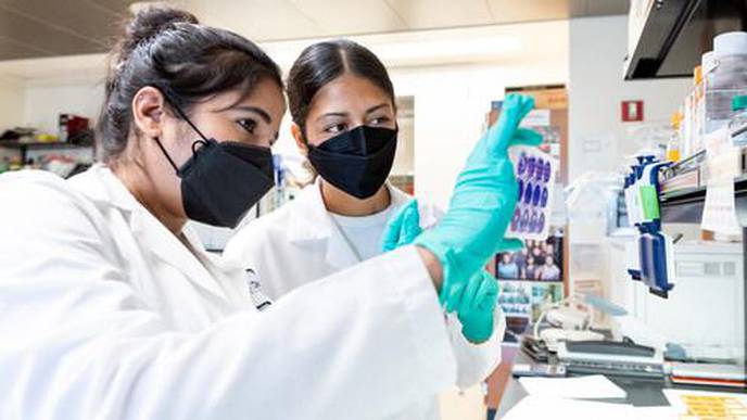 ReachMD Healthcare Image