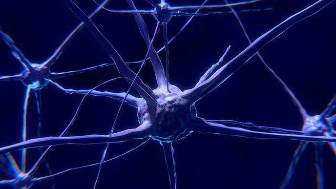 Frequent Strenuous Exercise Increases Risk of Motor Neurone Disease