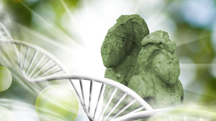 ReachMD Healthcare Image