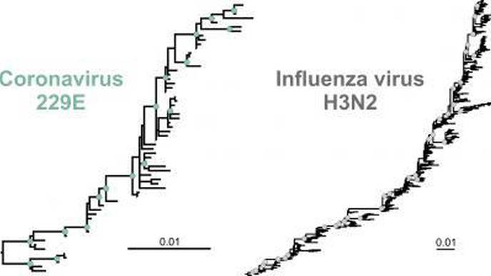 Will COVID-19 Vaccines Need to Be Adapted Regularly?