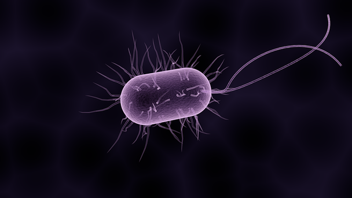Gene Variations at Birth Reveal Origins of Inflammation & Immune Disease
