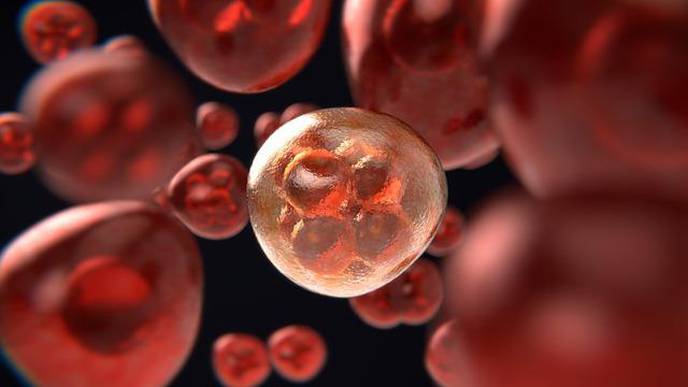 Black & White Women Have Same Mutations Linked to Breast Cancer Risk