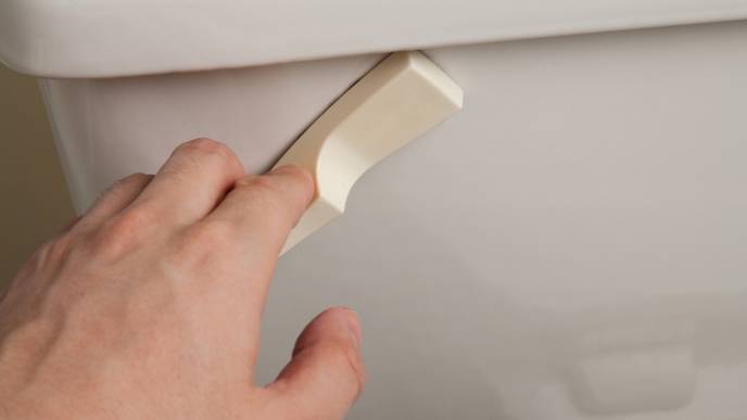 Flushed Toilets May Produce Clouds of Virus-Containing Particles