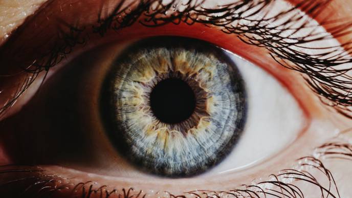 FDA Approves New Therapy for Rare Disease Affecting Optic Nerve, Spinal Cord