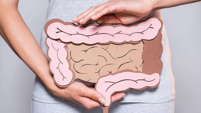 Fecal Transplants Could Be Used to Restore Cognitive Function in the Elderly
