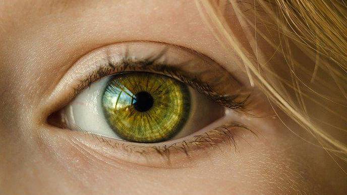 Eye Scanner Can Detect Molecular Aging