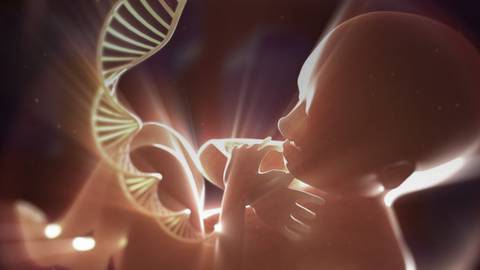 Applying Guidelines in Practice: Non-Invasive Prenatal Testing