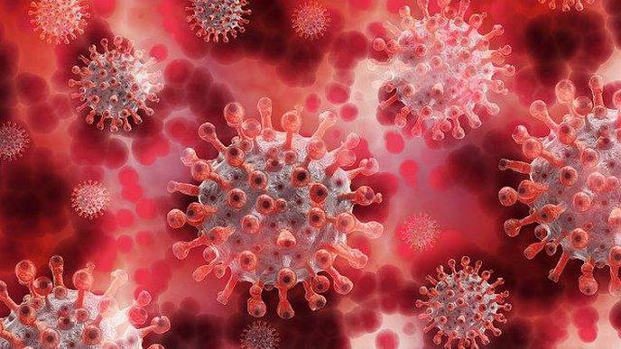 Coronavirus Deranges the Immune System in Complex & Deadly Ways