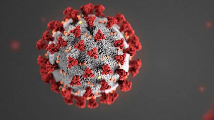 Dried Blood Spot Sampling Offers Inexpensive Way to Widen Access to Antibody Testing for COVID-19