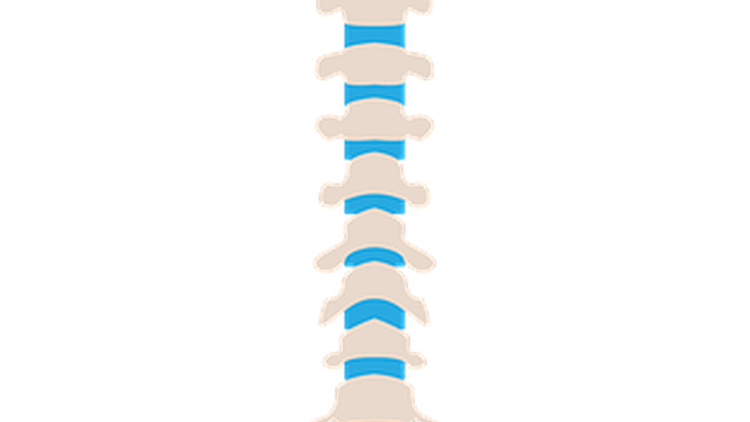 Spinal Cord Stimulator  Peripheral Nerve Stimulator – Integrative Pain  Specialists